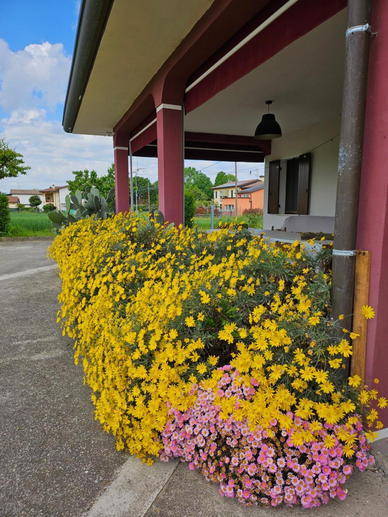 Casa Loretta Due Carrare